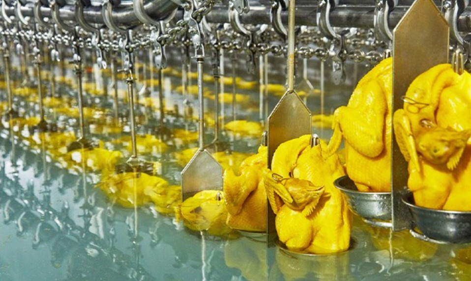 唐順興港式燒臘：美味傳承，盡顯港風(fēng)韻味