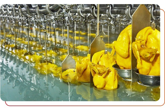 預制菜供應商產品安全衛(wèi)生嗎？