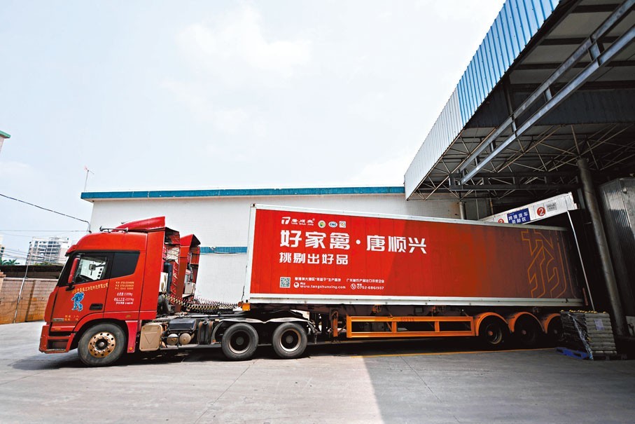 唐順興：解鎖白切雞風味，食材源頭直供批發(fā)廠家