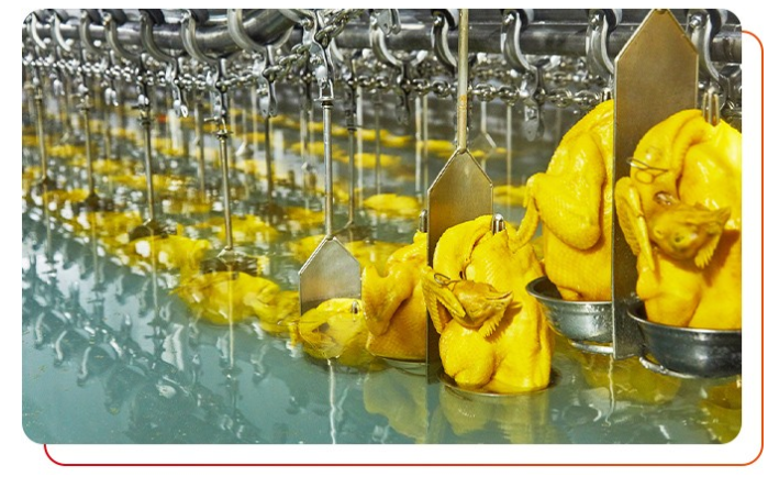 雞肉是否經(jīng)過檢測，有無相關(guān)的檢測報告？