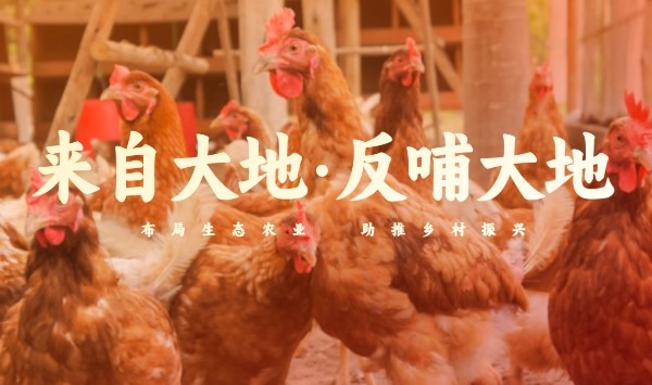 白切雞食材供應商如何保障食品安全 